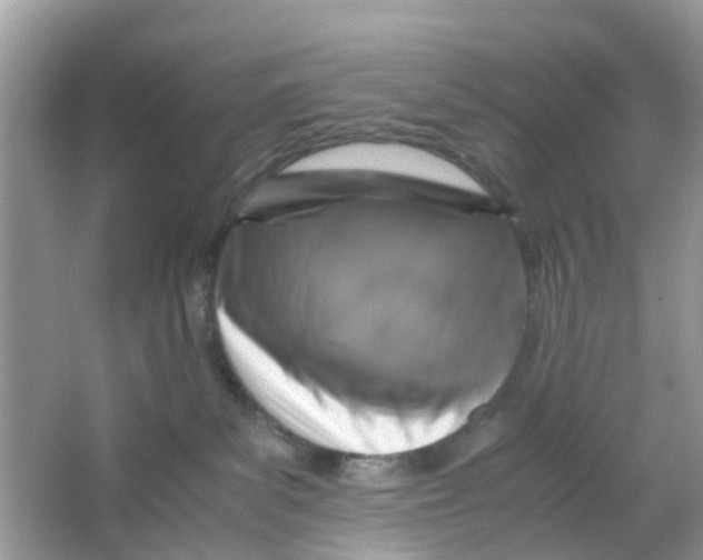 X0000066000139200603242041