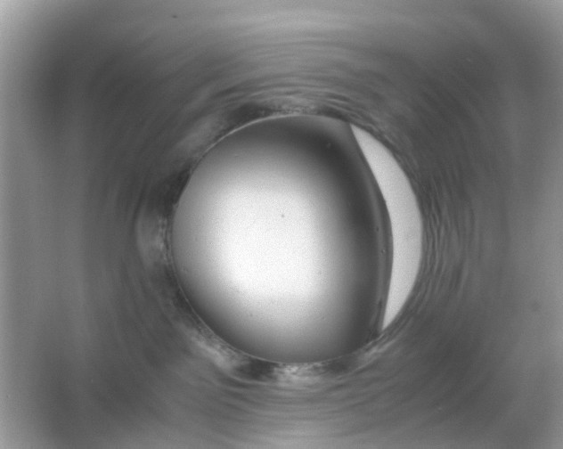 X0000066000141200603242041