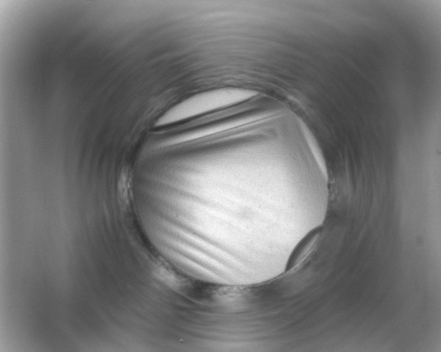 X0000066000142200603242041