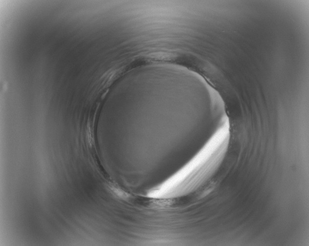 X0000066000143200603242041