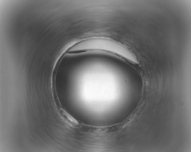X0000066000148200603242040