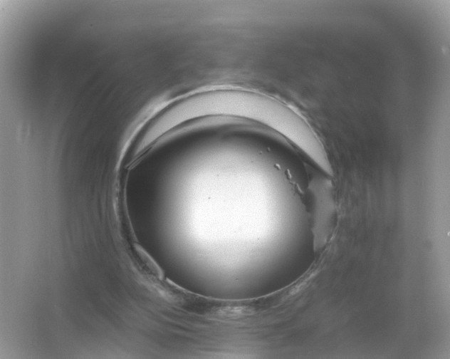 X0000066000152200603242040