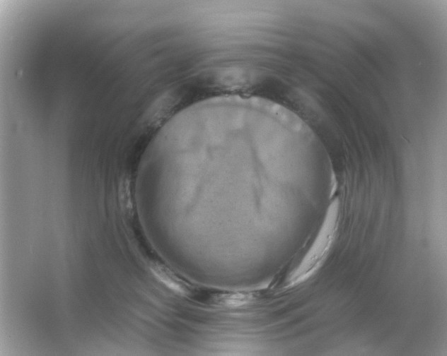 X0000066000182200603242041