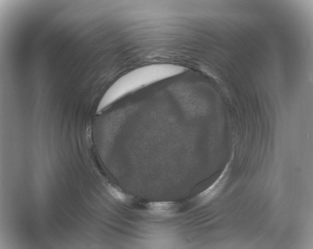 X0000066000192200603242041
