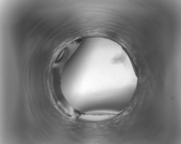 X0000066000193200603242040