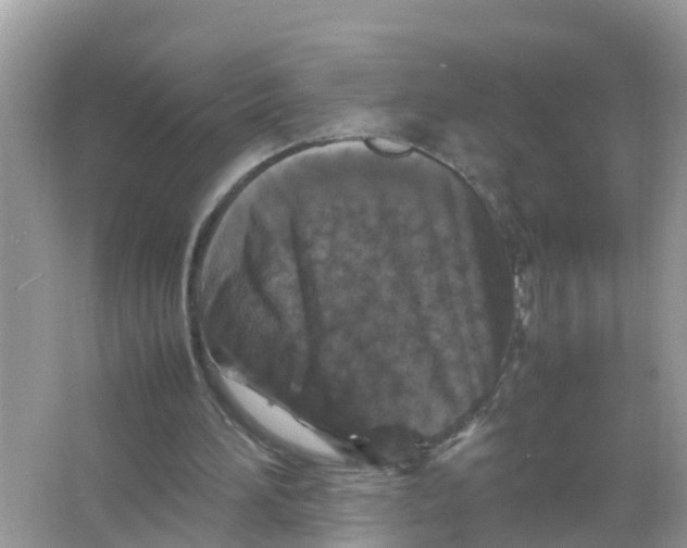 X0000066000196200603242040
