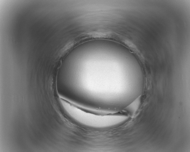 X0000066000201200603242040