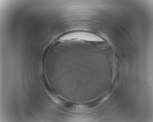 X0000066000205200603242040
