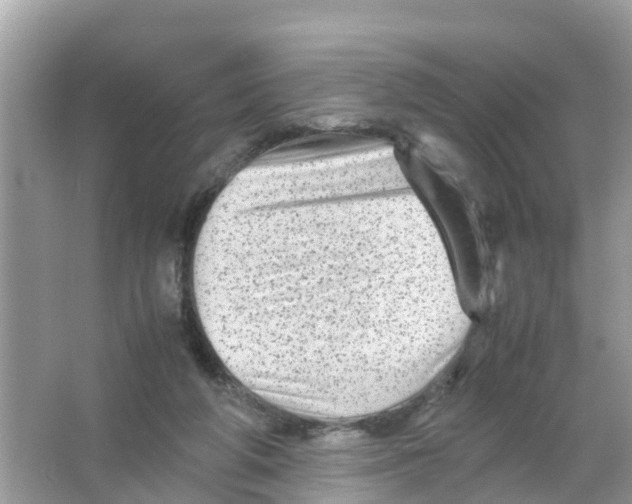 X0000066000210200603242040