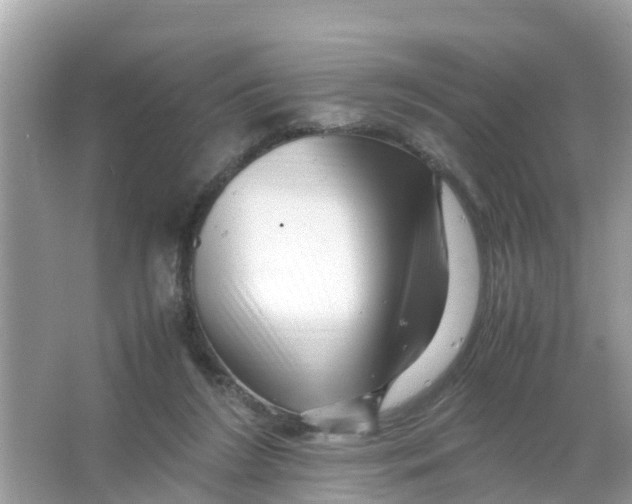 X0000066000212200603242040