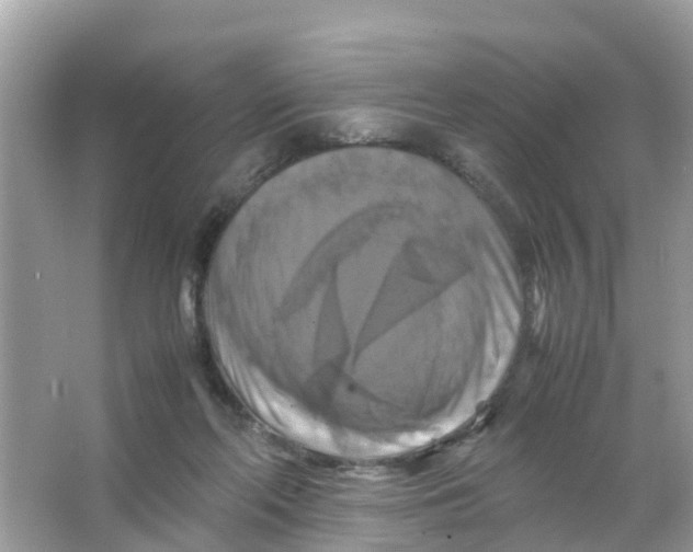 X0000066000214200603242040