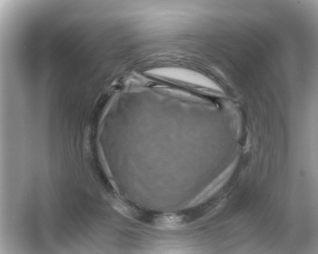 X0000066000217200603242040