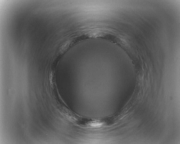 X0000066000219200603242040