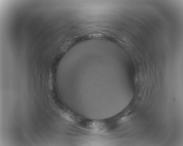 X0000066000223200603242040
