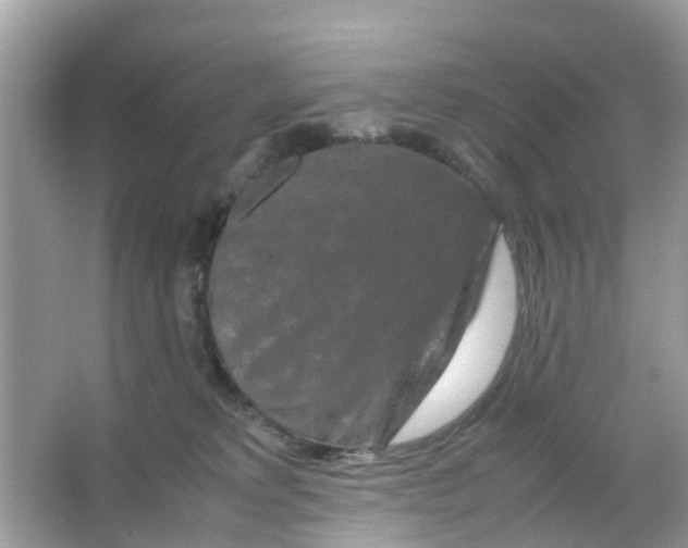 X0000066000229200603242040