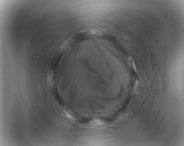 X0000066000231200603242040