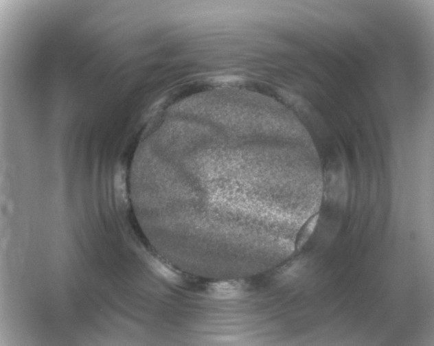 X0000066000238200603242040