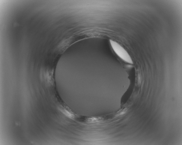X0000066000239200603242040