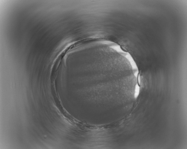 X0000066000243200603242039
