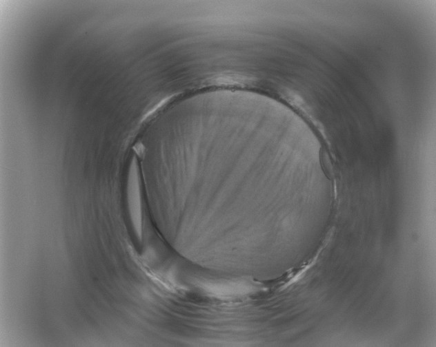 X0000066000249200603242039