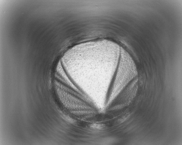 X0000066000261200603242039