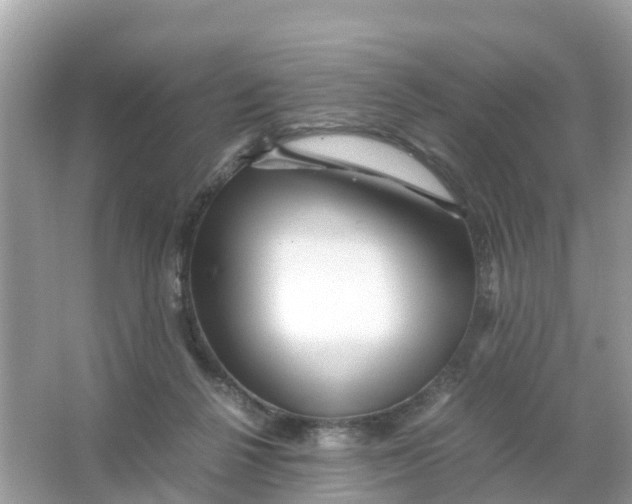 X0000066000264200603242039
