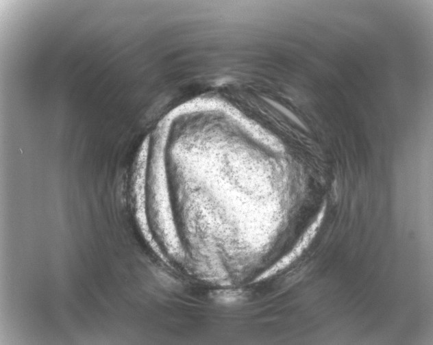 X0000066000273200603242039