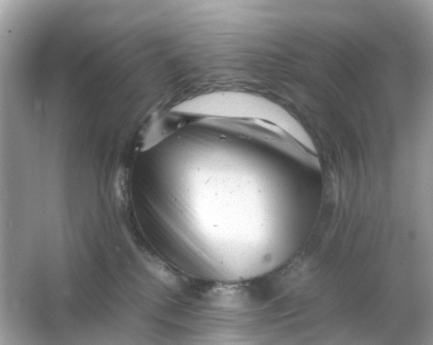 X0000066000280200603242039