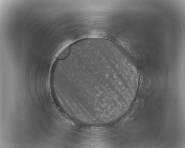 X0000066000292200603242039