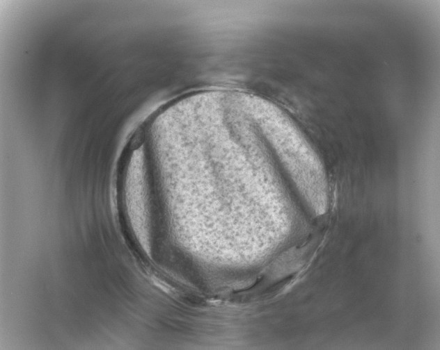 X0000066000294200603242039