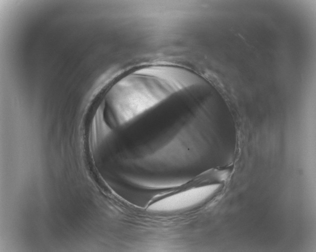 X0000066000295200603242039
