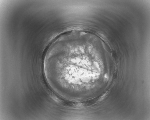 X0000066000301200603242039