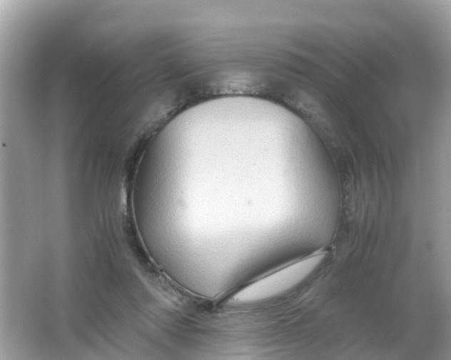 X0000066000310200603242038