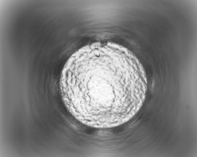 X0000066000327200603242038