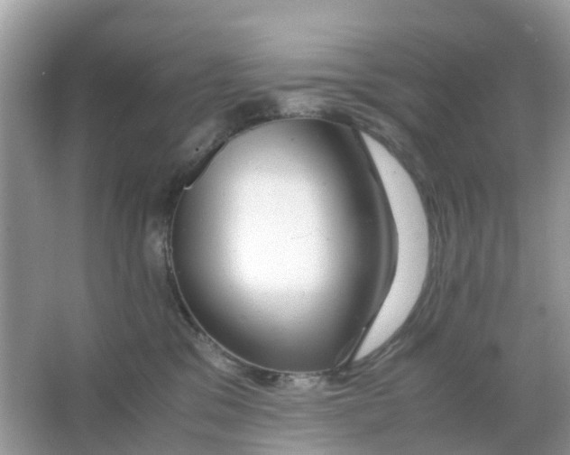 X0000066000329200603242038