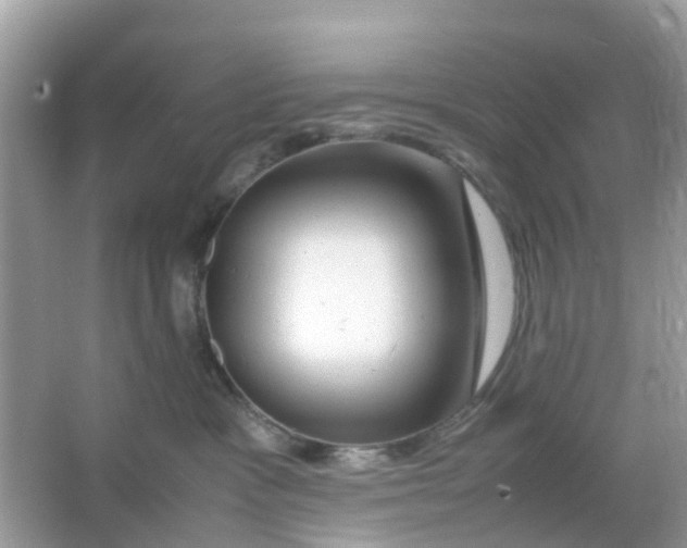 X0000066000333200603242038