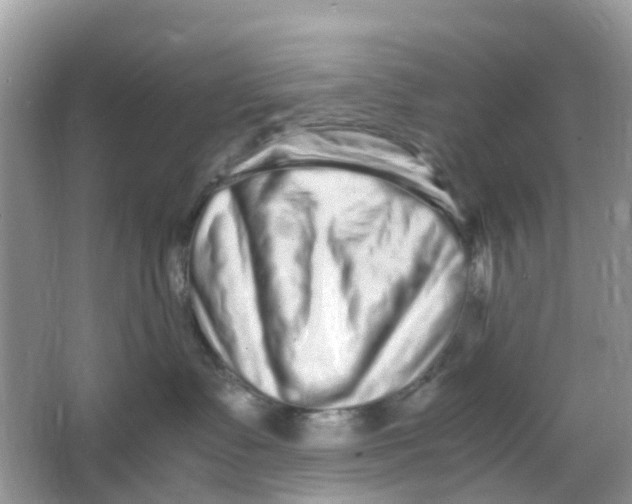 X0000066000335200603242038