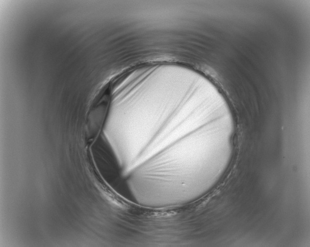 X0000066000345200603242037