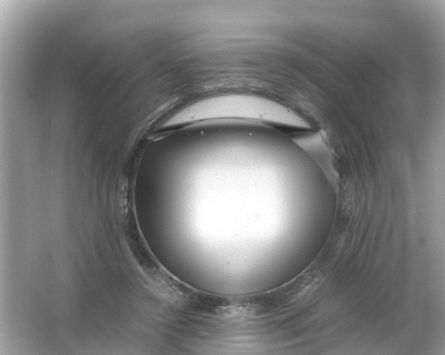 X0000066000356200603242037