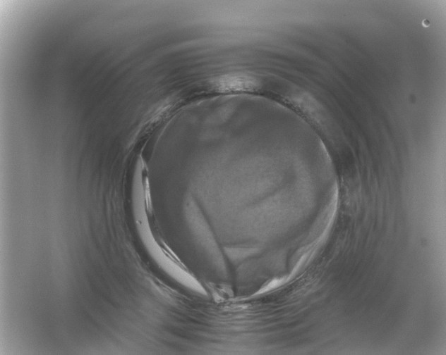 X0000066000357200603242037