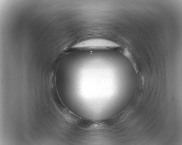 X0000066000364200603242038