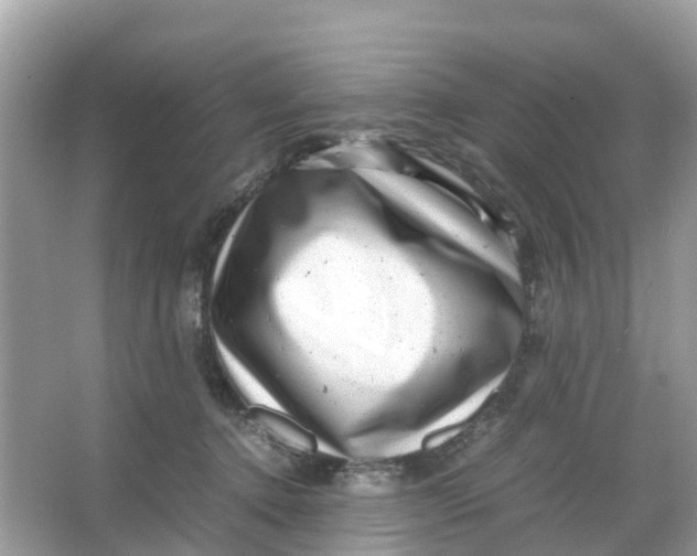 X0000066000368200603242038