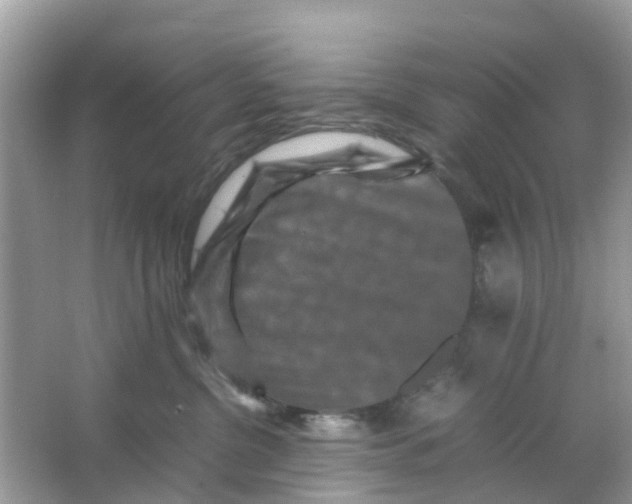 X0000066000380200603242038
