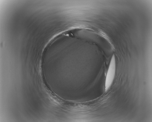 X0000066000387200603242037