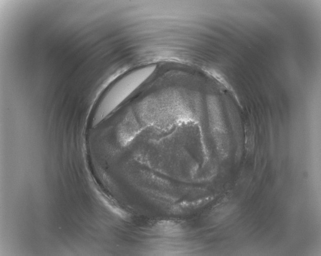 X0000066000390200603242037
