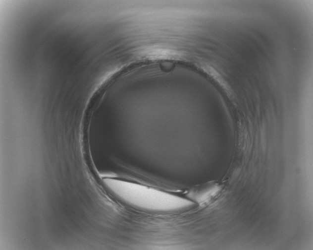 X0000066000391200603242037
