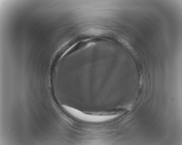 X0000066000399200603242037