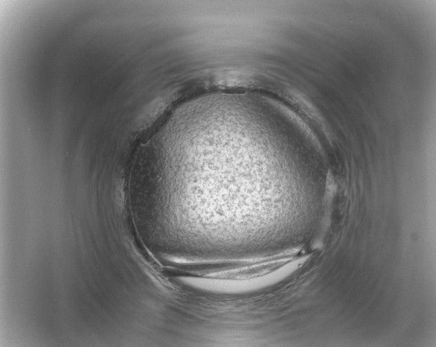 X0000066000401200603242037