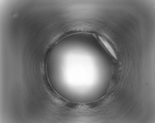 X0000066000403200603242037