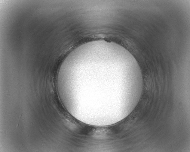 X0000066000414200603242037